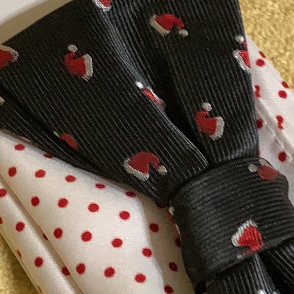 KNOTTY & NICE - BOW TIE & POCKET SQUARE SET 🎅🏼🆕 - Picture 2 of 4